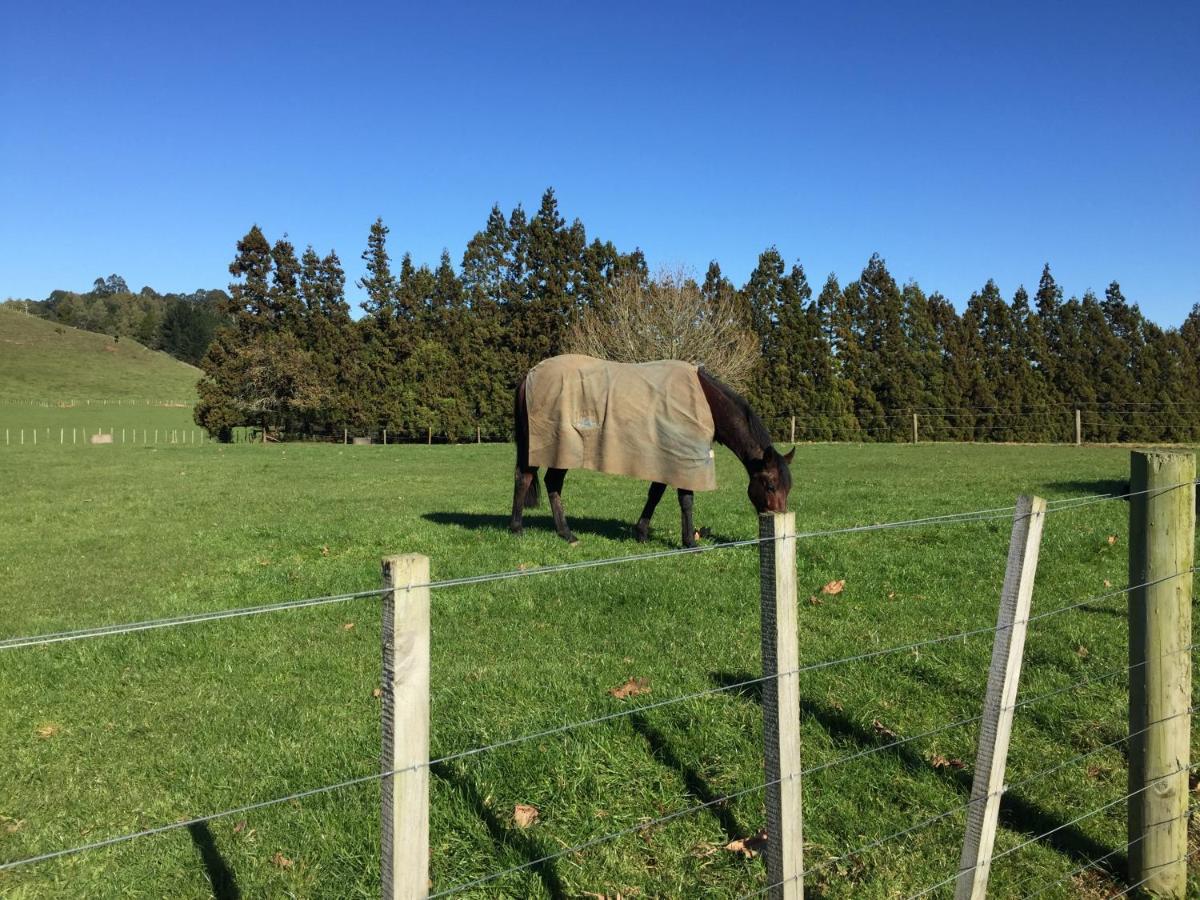 Veld View Bed And Breakfast Tuakau Exterior foto
