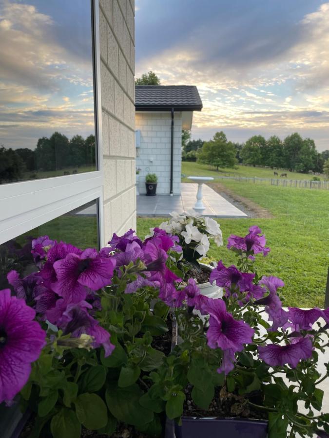 Veld View Bed And Breakfast Tuakau Exterior foto