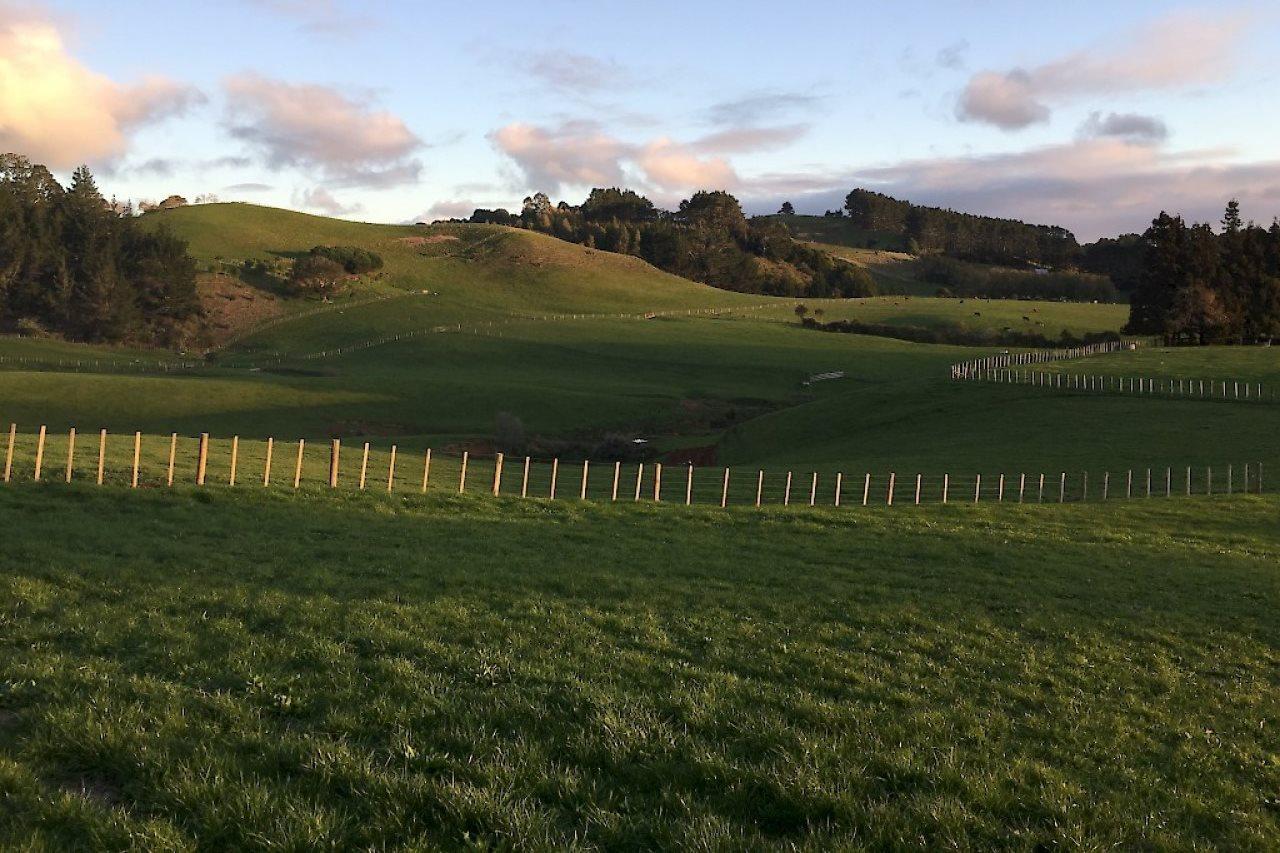 Veld View Bed And Breakfast Tuakau Exterior foto